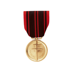 Médaille de la résistance